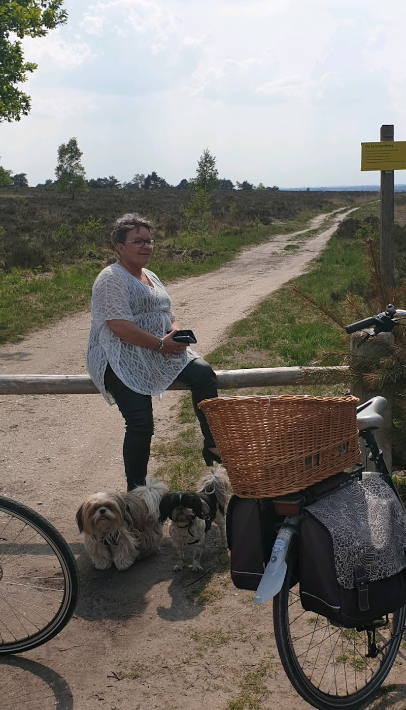 Affix Totaal - Foto 4