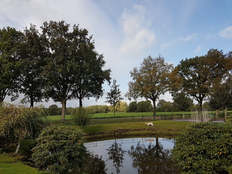 Arendsnest Luxury B&B Apartments - Foto 4