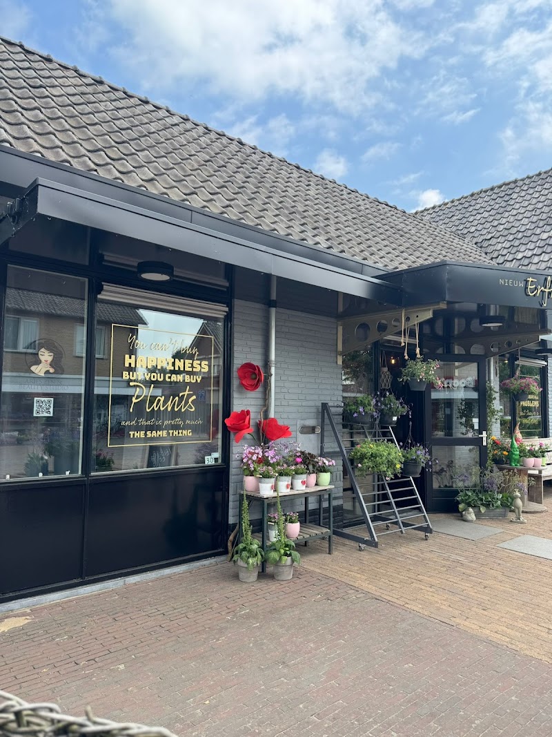 Aries Zen & Beauty Studio