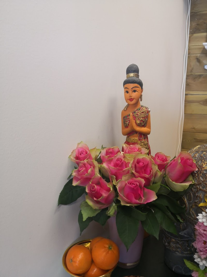 Artiscent Wellness Alkmaar - Foto 9