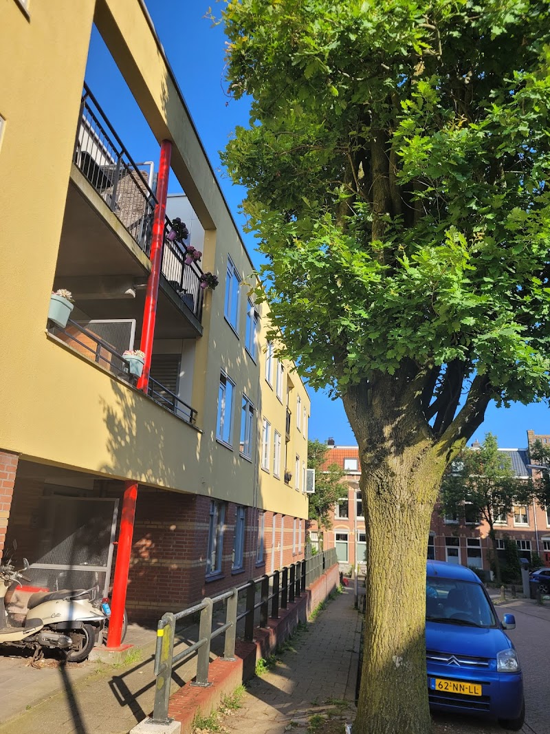 Ava massage Nijmegen - Foto 4