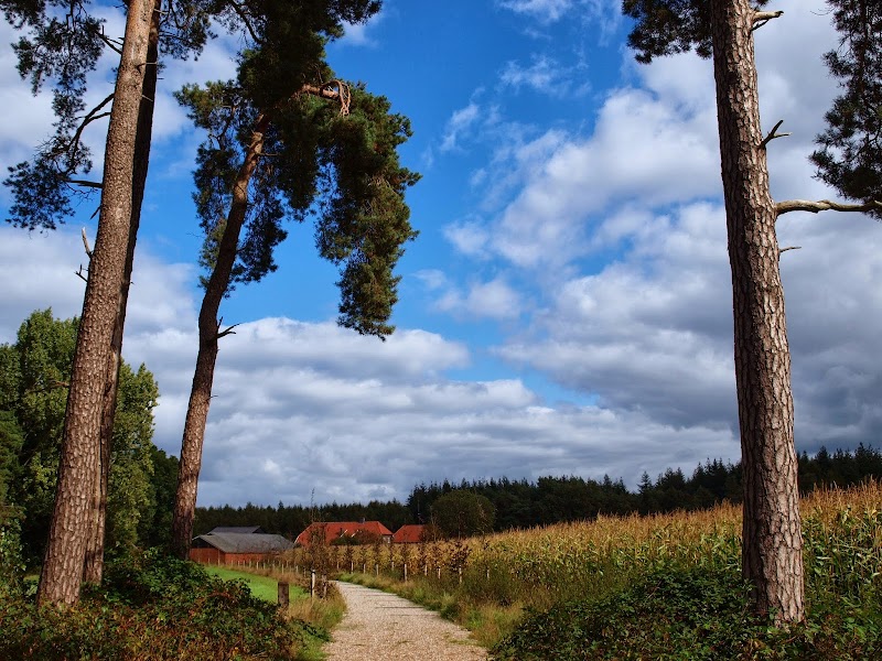 Ayurveda Twente