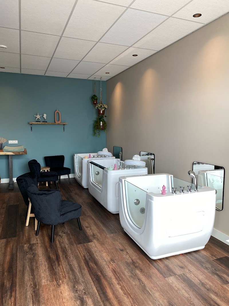 Babyspa 't Zeepaardje - Foto 4