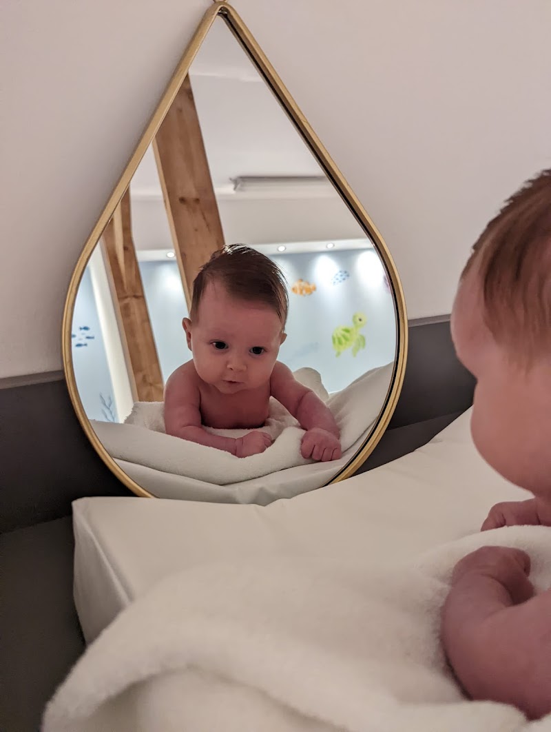 Babyspadenbosch - Foto 7