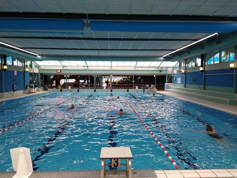 Bad Hesselingen Meppel - Foto 3