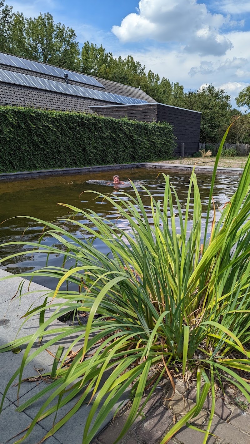 B&B de Hoefijzer - Foto 7