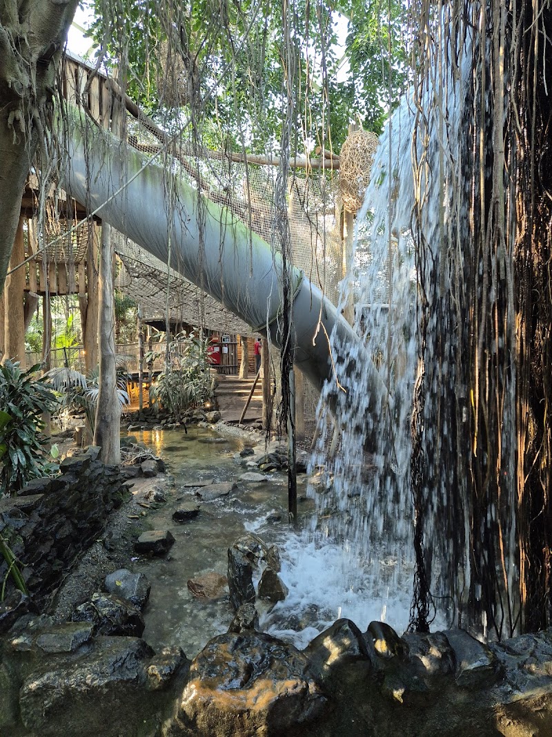 Center Parcs Het Heijderbos - Foto 6