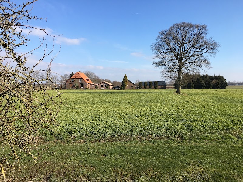 de Waalhoeve B&B en Wellness - Foto 3