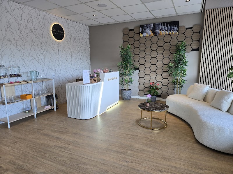Dida Wellness - Foto 4