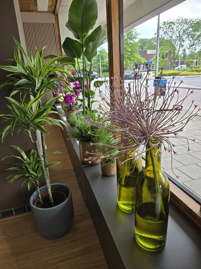 Dida Wellness - Foto 5