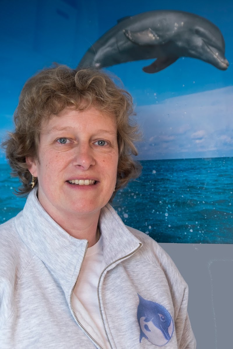 Dolfijn Massage