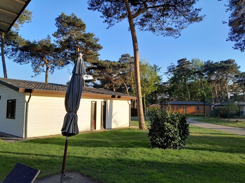 Elsendorp | Naturistisch Recreatiepark - Foto 8