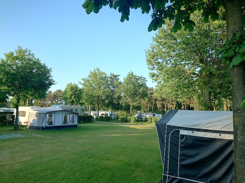 Elsendorp | Naturistisch Recreatiepark - Foto 4