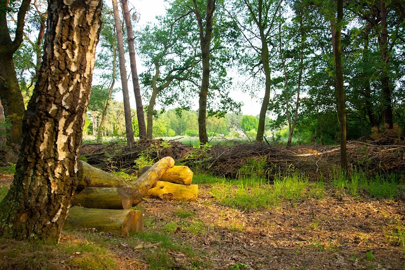 Erve Hoogengraven - Foto 10