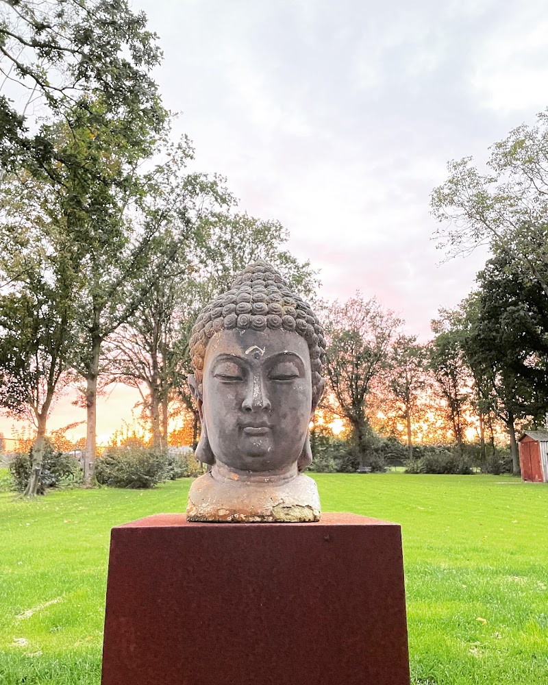 Flowtime Massage Yoga Voetreflex Mindfulness - Foto 10