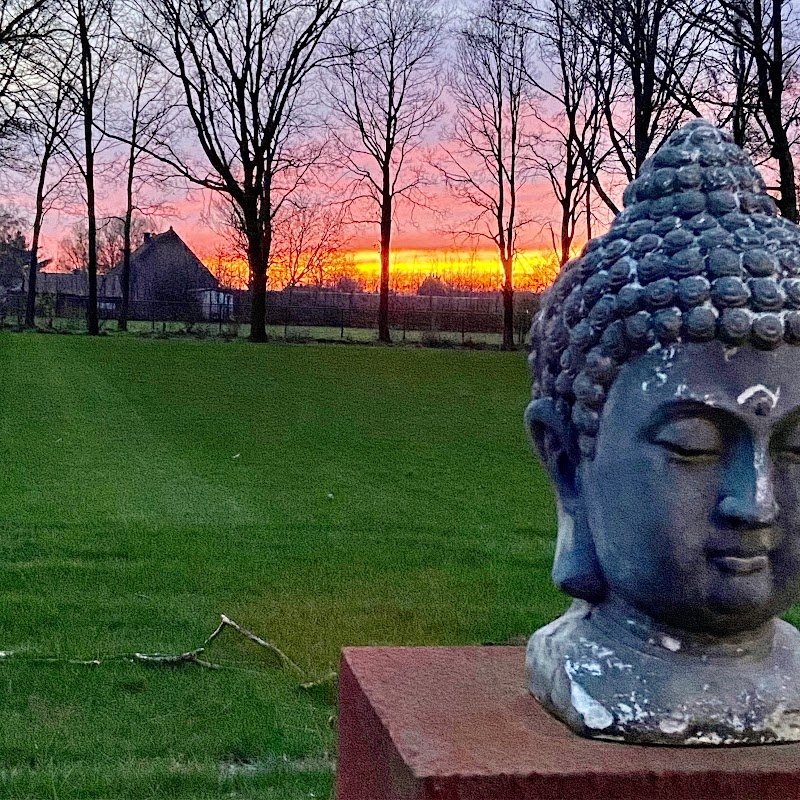 Flowtime Massage Yoga Voetreflex Mindfulness - Foto 6