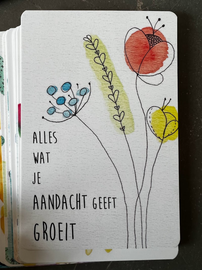 HappiZen - Foto 6