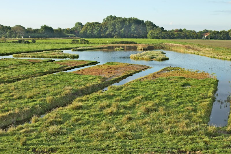 Kuuroord De Schouw - Foto 6