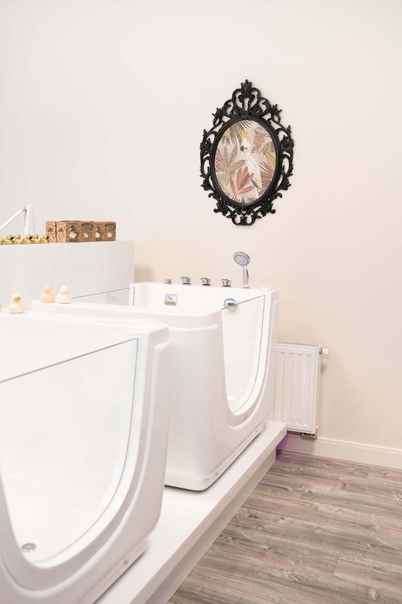Little Turtle Baby Spa - Foto 4