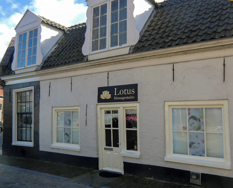 Lotus - Foto 4