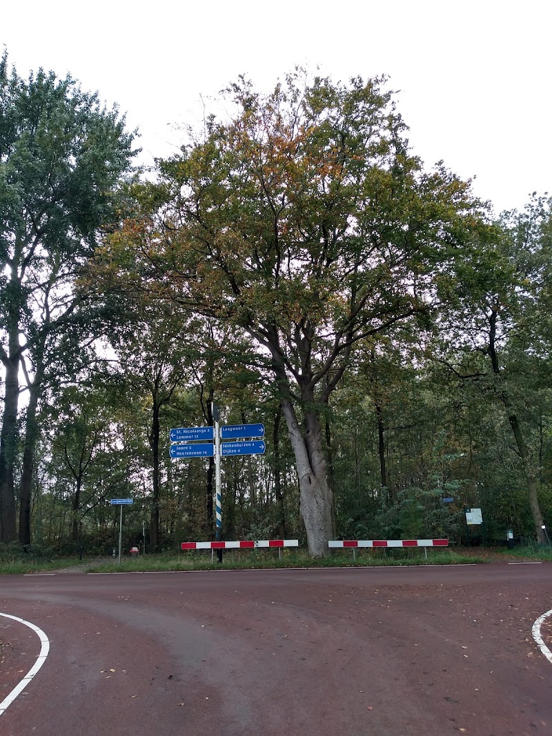 Lyts Sypenstien - Foto 4