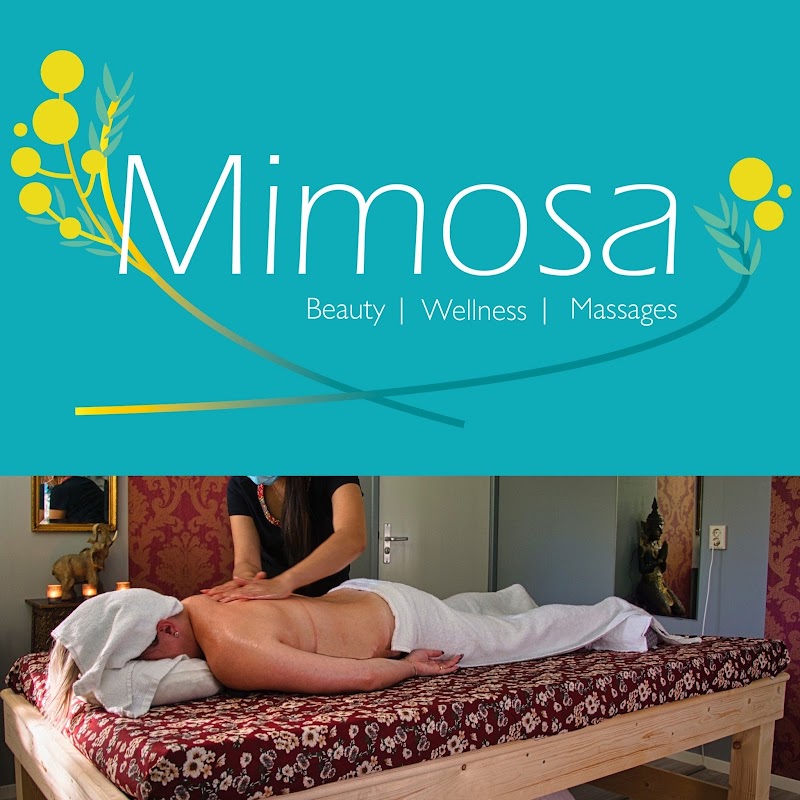 Mimosa - Foto 6