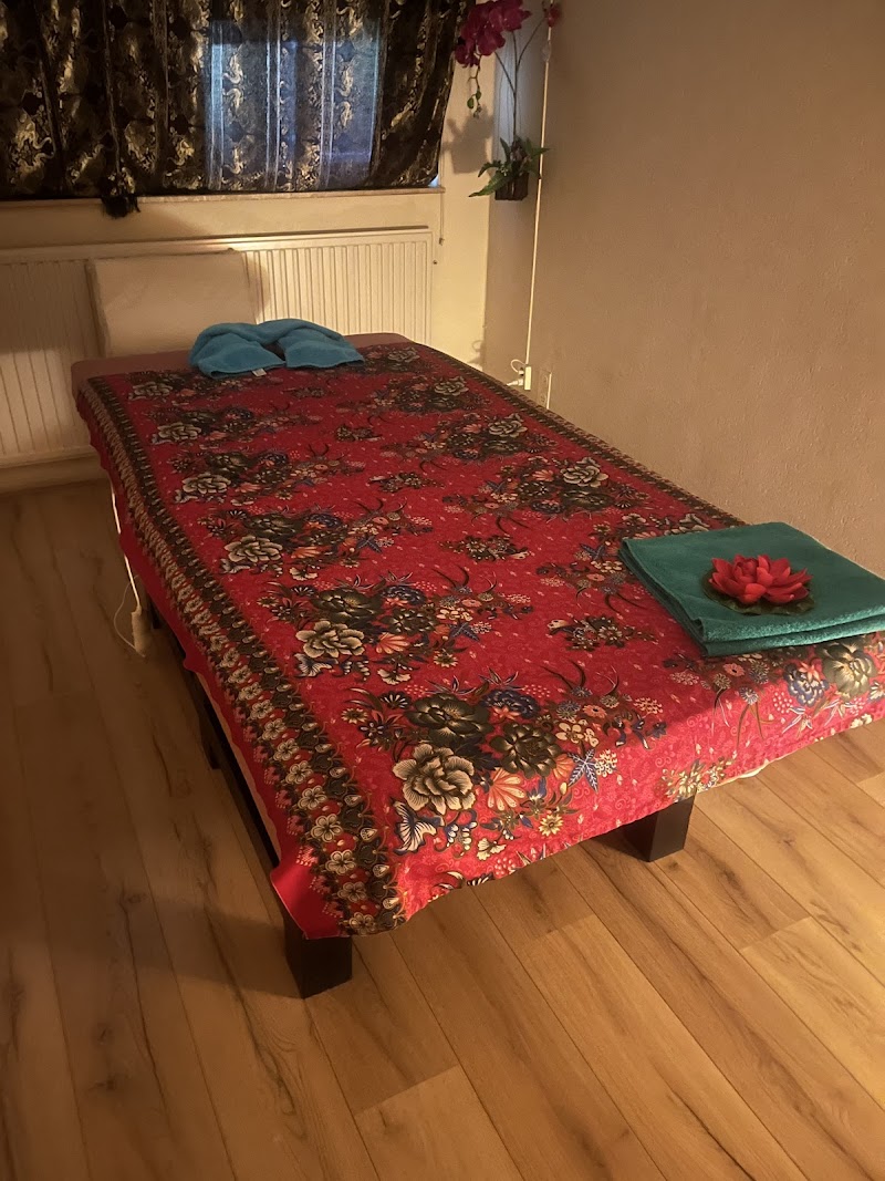 Nok Thai Sabai Wellness - Foto 3