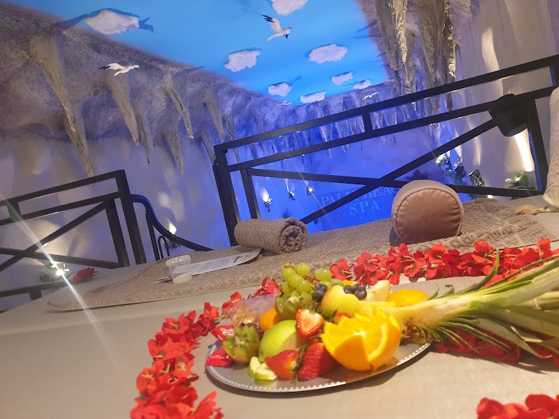 Palm Beach Spa privé sauna privé zwembad - Foto 5