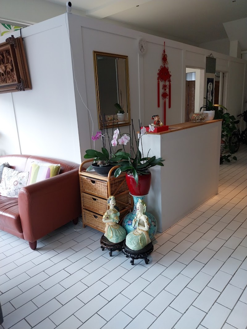 Phoenix Health & Wellness - Hilversum - Foto 3