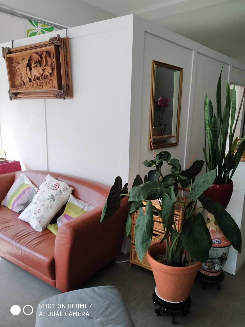 Phoenix Health & Wellness - Hilversum - Foto 5