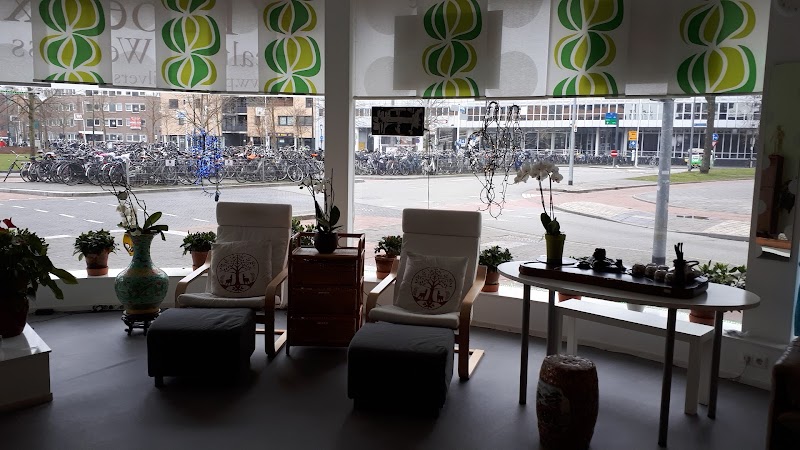 Phoenix Health & Wellness - Hilversum - Foto 6