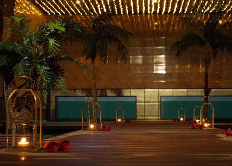 privé sauna met zwembad Tropicana Spa zuid-holland - Foto 5