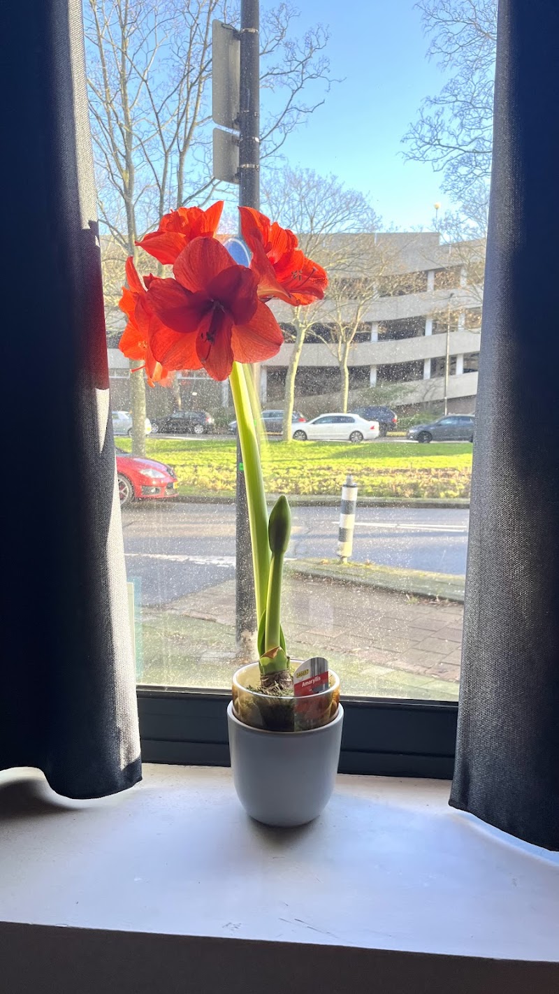 Sabaijaiwellness Rijswijk - Foto 5