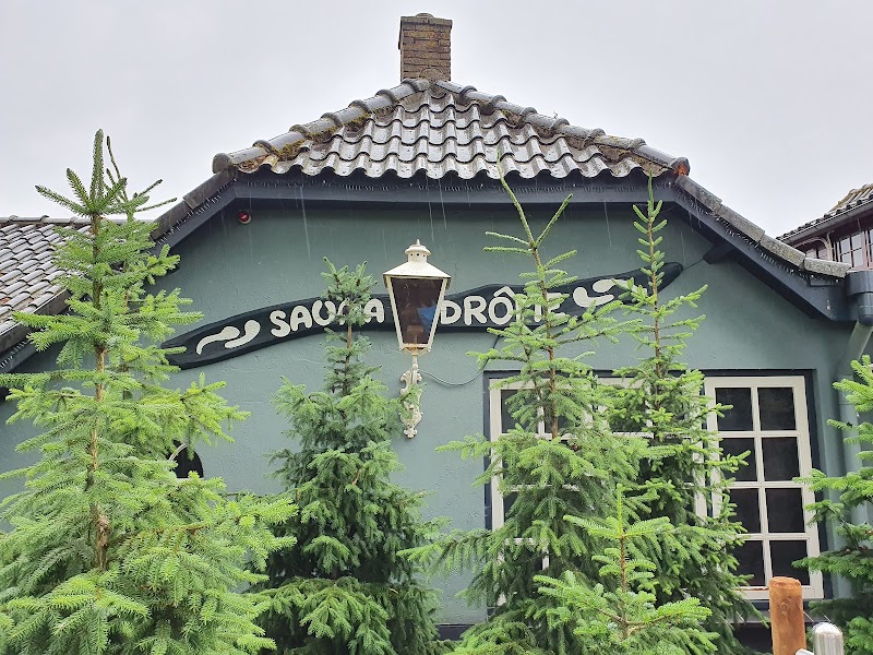 Sauna Drôme Putten - Foto 5