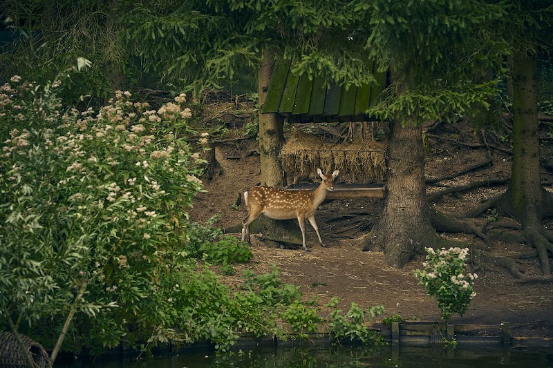Sauna Drôme Putten - Foto 9