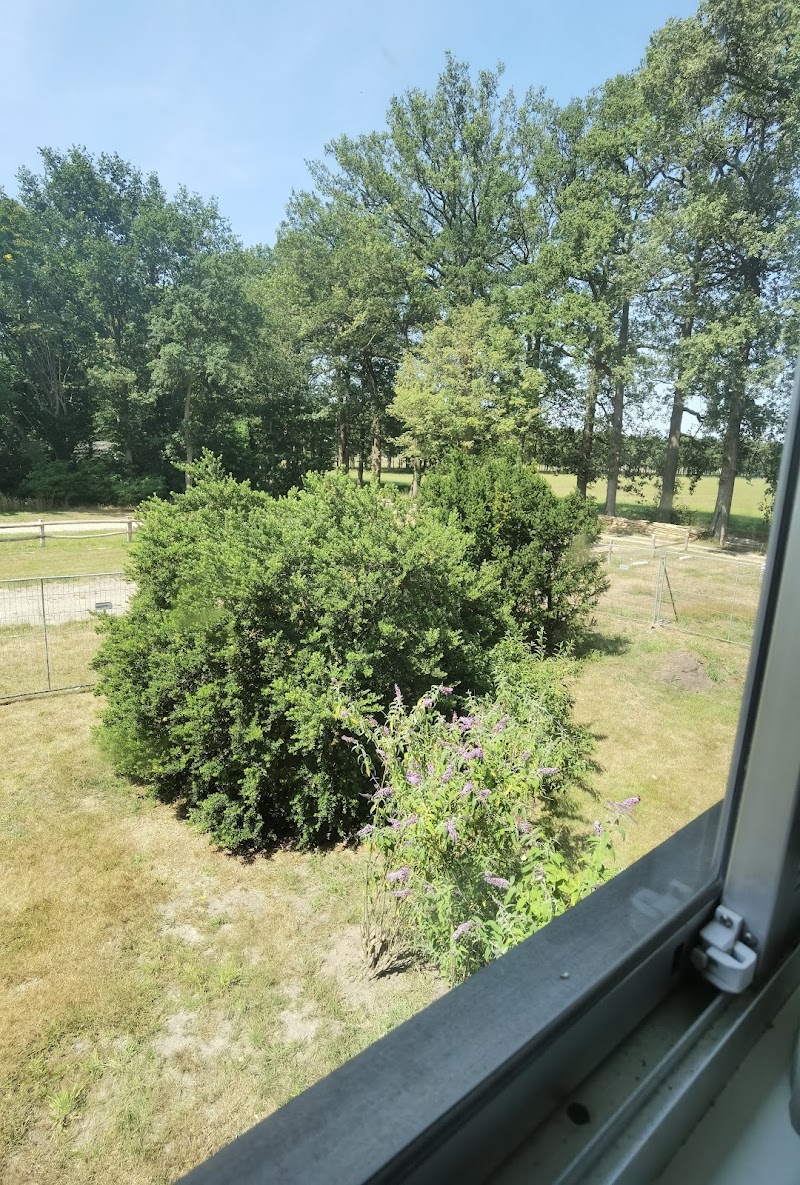 schaapskooi - Foto 4