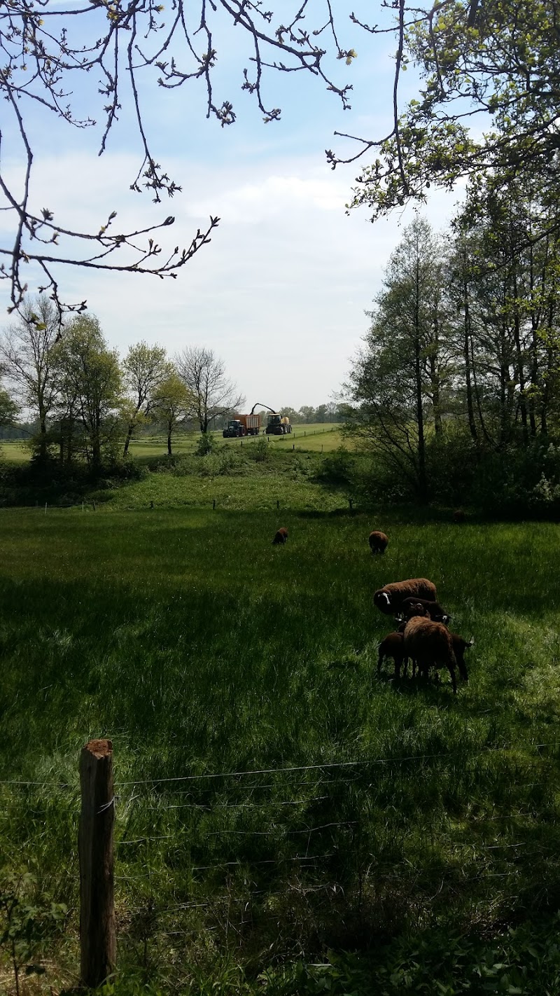 Spa Boerderij - Foto 7