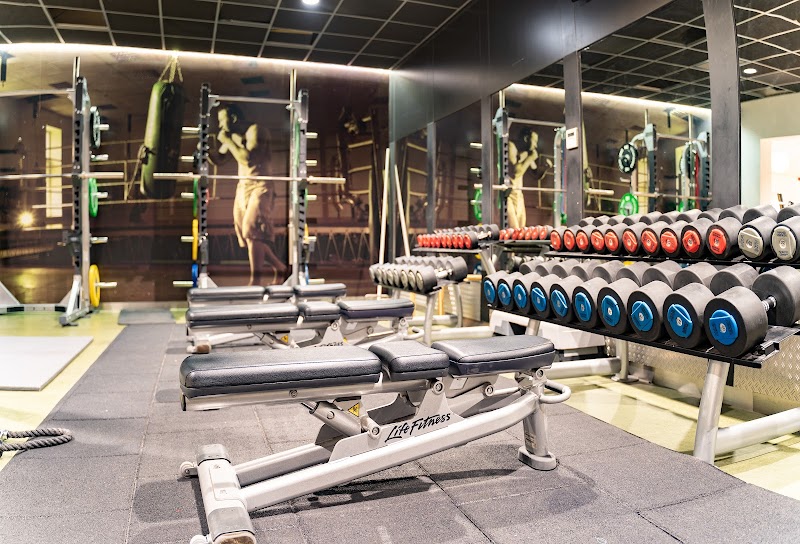 Sportschool | Fit Factory Eersel - Foto 5