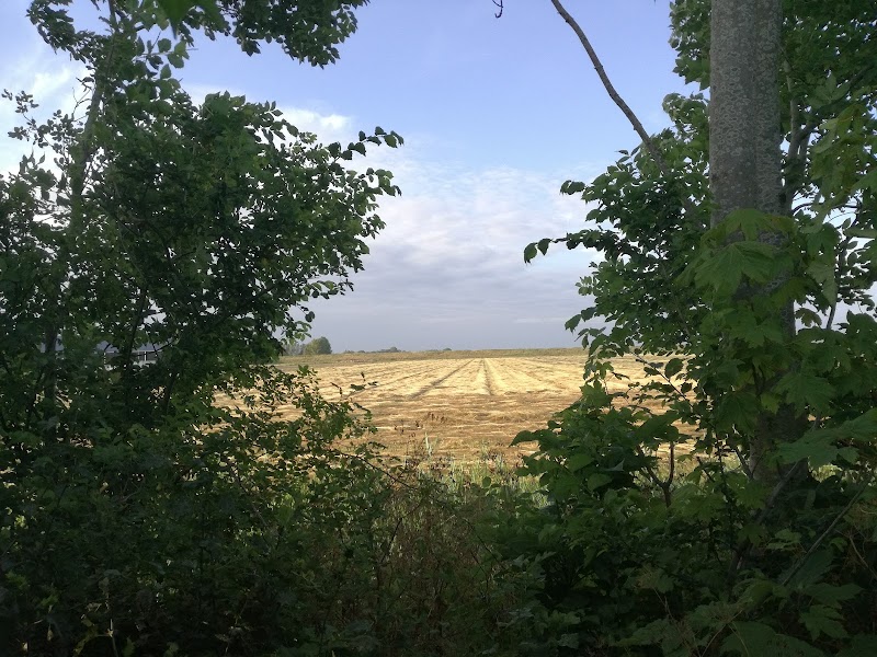 Stern Beautyfarm Zeeland - Foto 4