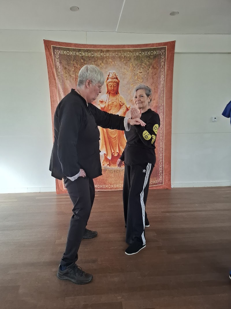 Tai Chi Well - Foto 2