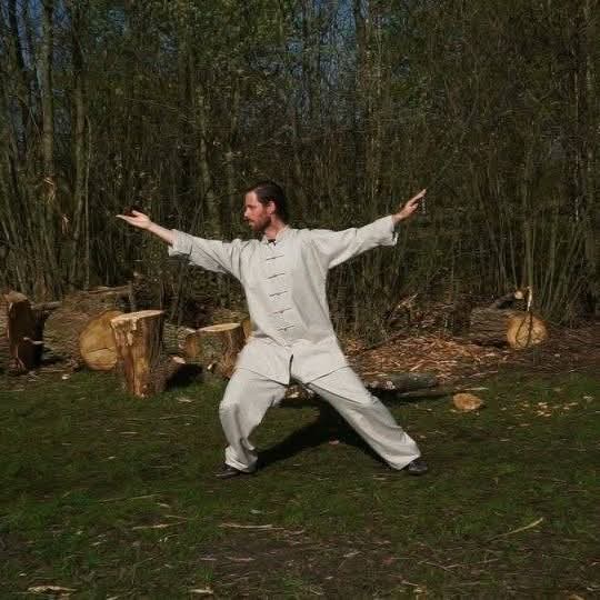 Tai Chi Well - Foto 7