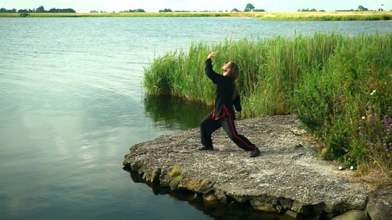 Tai Chi Well