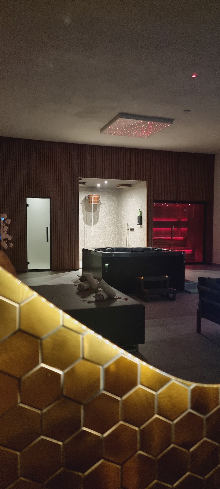 The Luxury Wellness - Foto 6