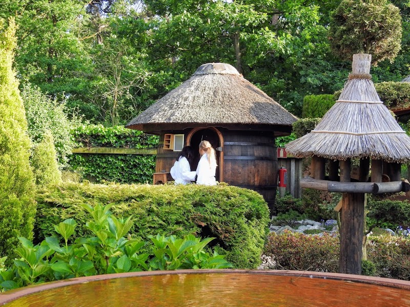 Thermae Son - Foto 9