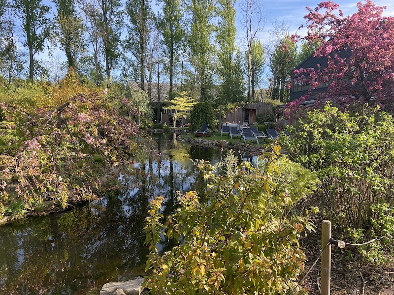 Thermen Binnenmaas - Foto 6