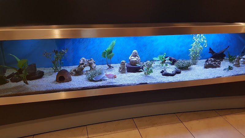 Thermen Holiday - Foto 8