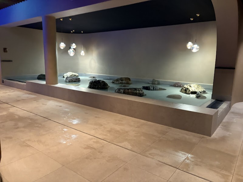 Thermen Maastricht - Foto 9