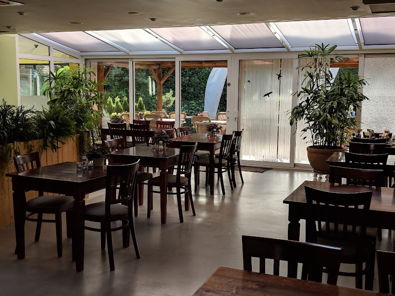 Top Alivio Saunacentrum - Foto 7