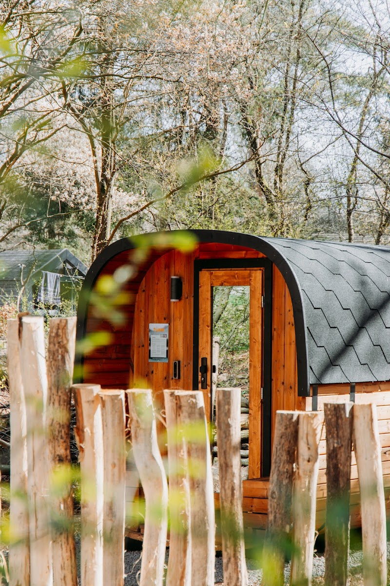 Tünn Sauna - EuroParcs Ruinen - Foto 10