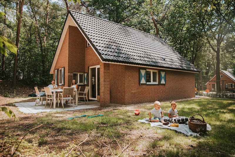 Vakantiepark Beerze Bulten - Foto 6